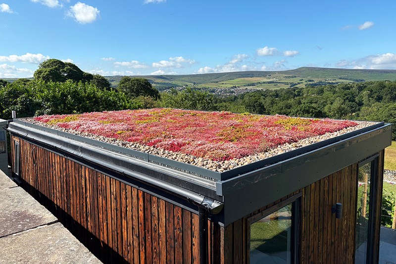 Full view of the Extensive Sedum Roof at Helme Edge Vineyard